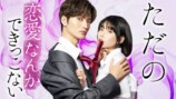 『ただの恋愛なんかできっこない』ドラマ化の画像