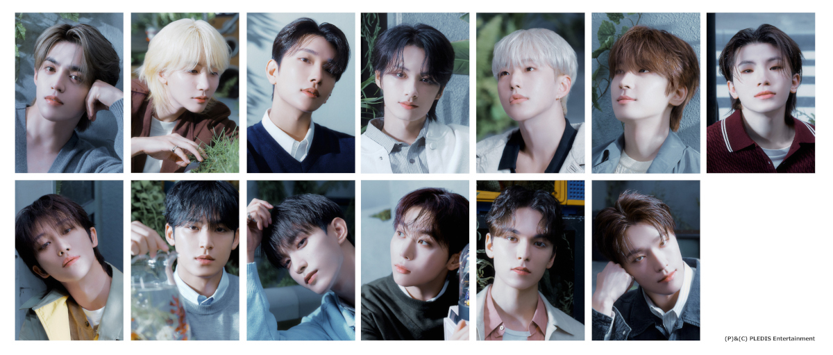 『初恋DOGs』主題歌はSEVENTEEN