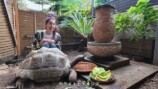 森泉、自宅の庭をDIYの画像