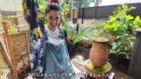 森泉、自宅の庭をDIYの画像