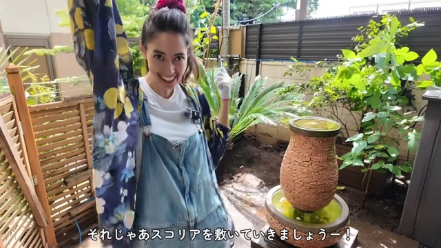 森泉、自宅の庭をDIYの画像