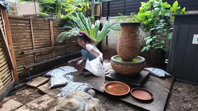 森泉、自宅の庭をDIYの画像