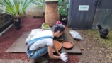 森泉、自宅の庭をDIYの画像