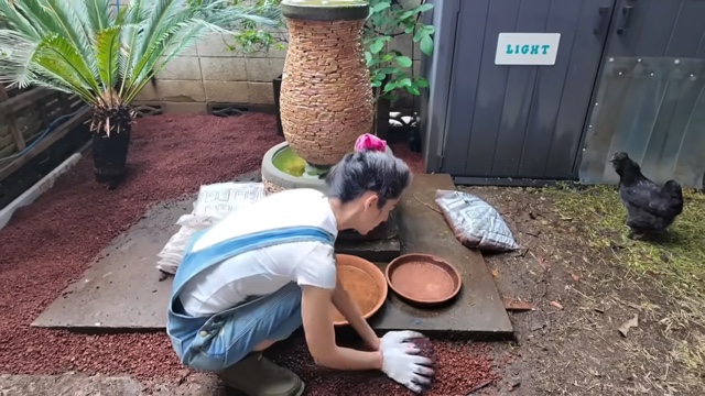 森泉、自宅の庭をDIYの画像