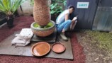 森泉、自宅の庭をDIYの画像