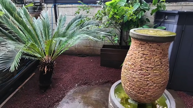 森泉、自宅の庭をDIYの画像