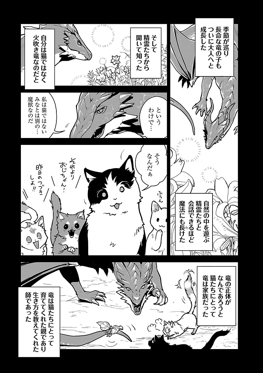 【漫画】『猫と竜』誕生の背景は？の画像