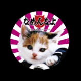 17LIVE×「なめ猫」コラボイベント開催中の画像