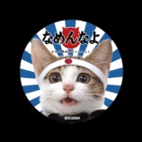 17LIVE×「なめ猫」コラボイベント開催中の画像
