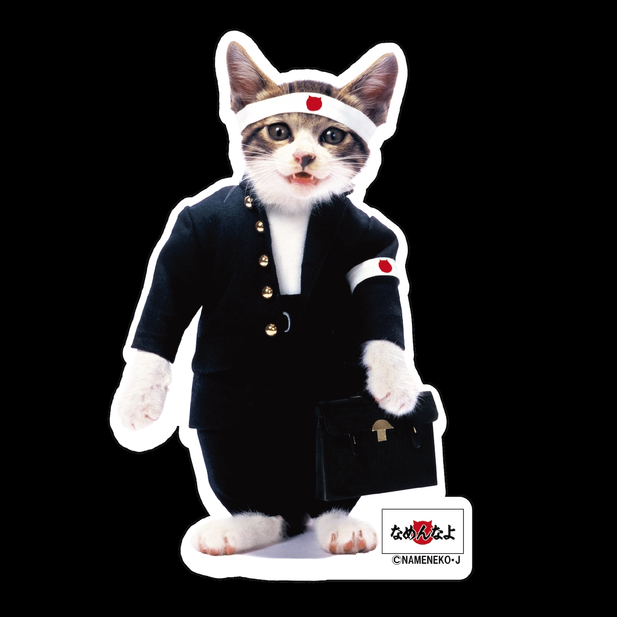 17LIVE×「なめ猫」コラボイベント開催中の画像