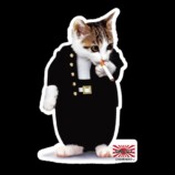 17LIVE×「なめ猫」コラボイベント開催中の画像