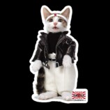 17LIVE×「なめ猫」コラボイベント開催中の画像