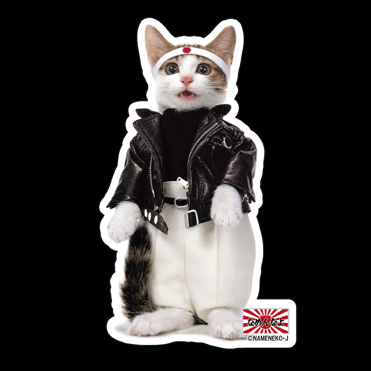 17LIVE×「なめ猫」コラボイベント開催中の画像