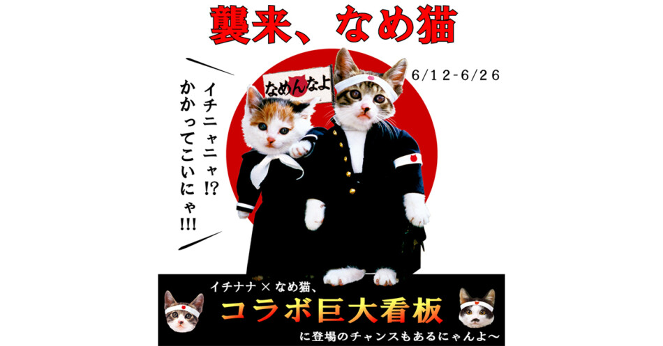 なめ猫　ソフビ　サングラス　当時物　激レア　現状 80年代に大流行の「なめ猫」グッズをゲットしよう 17LIVEとのコラボ