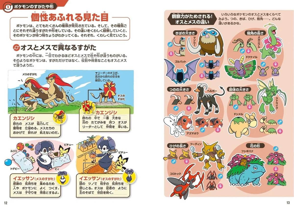 見ているだけで楽しい『ポケモン生態図鑑』の画像