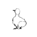 大重版決定の話題作『皇后の碧』の画像