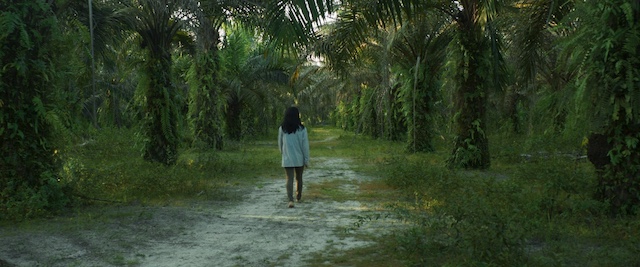 『私は何度も私になる』トークに草刈民代の画像