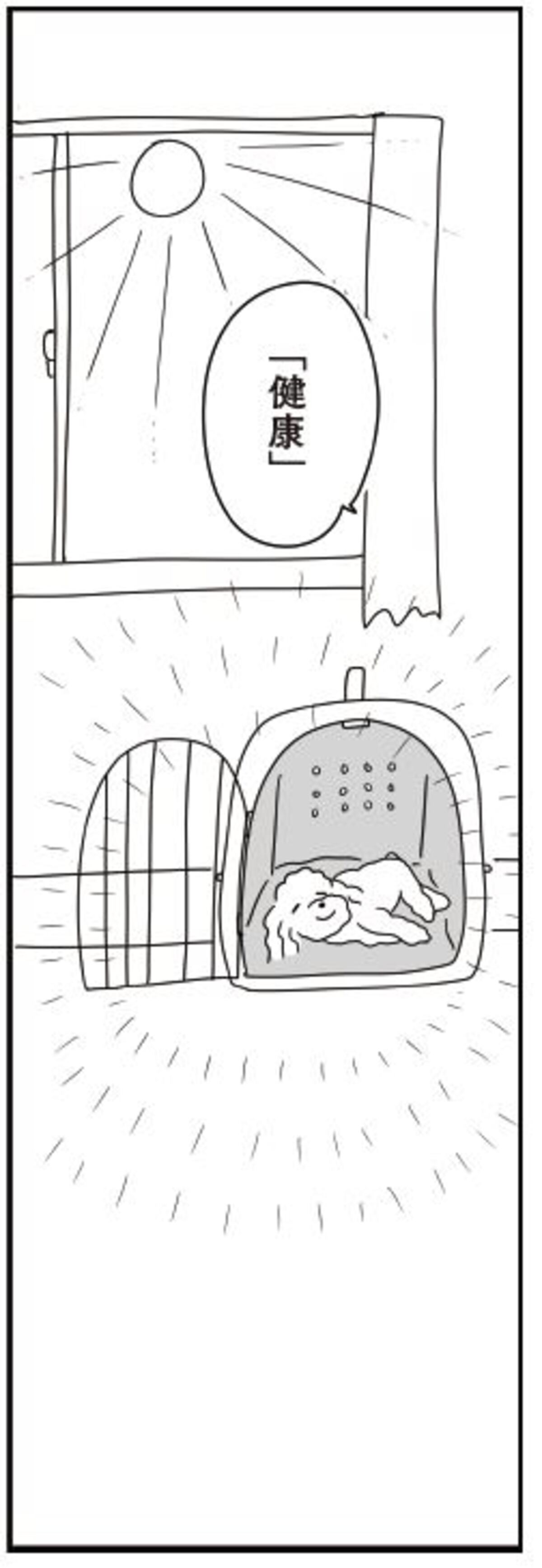 愛犬家必読のエッセイ『おはよう、サンテ』の画像