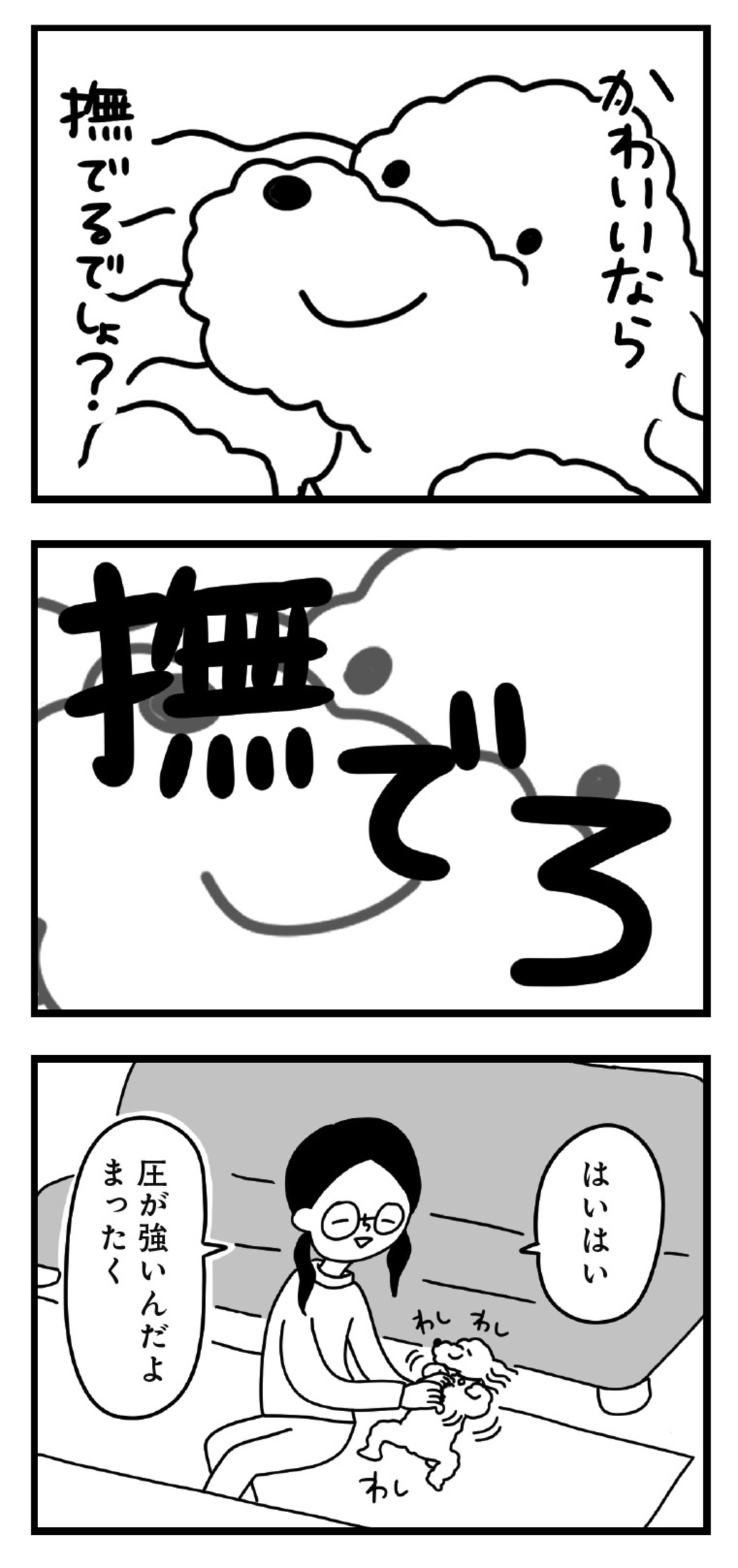 愛犬家必読のエッセイ『おはよう、サンテ』の画像