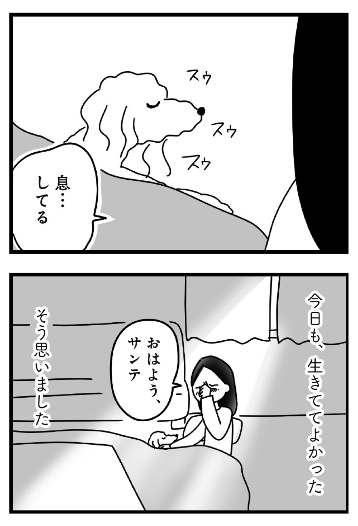 愛犬家必読のエッセイ『おはよう、サンテ』の画像