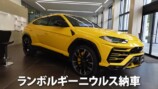 あま猫、念願のランボルギーニ納車の画像