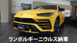 あま猫、念願のランボルギーニ納車の画像
