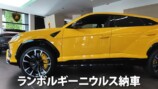 あま猫、念願のランボルギーニ納車の画像