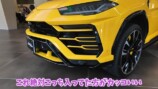 あま猫、念願のランボルギーニ納車の画像