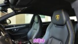 あま猫、念願のランボルギーニ納車の画像