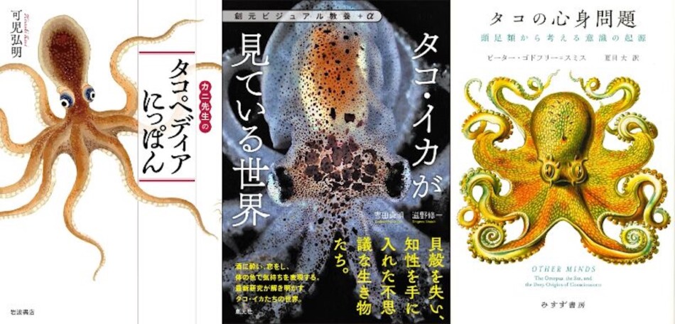 おすすめタコブック3選