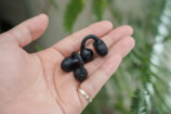 Baseus、イヤーカフ型イヤホン『BC1』レビューの画像