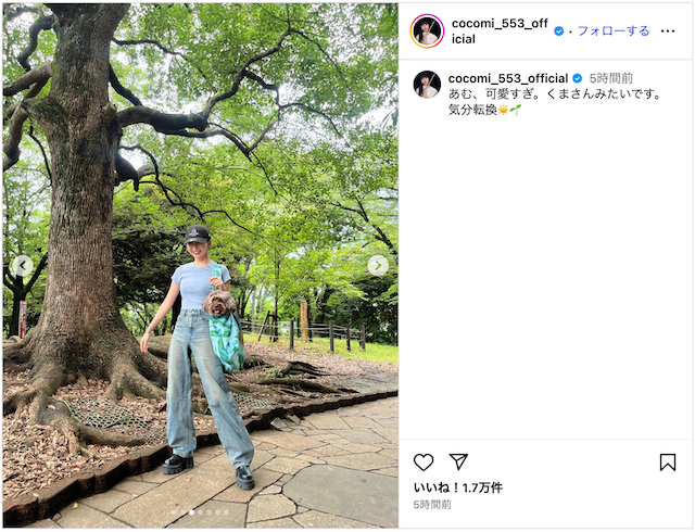 Cocomi&Kōki,、愛犬を連れて公園とカフェの画像