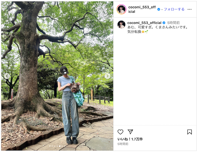 Cocomi&Kōki,、愛犬を連れて公園とカフェの画像