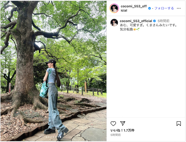 Cocomi&Kōki,、愛犬を連れて公園とカフェの画像