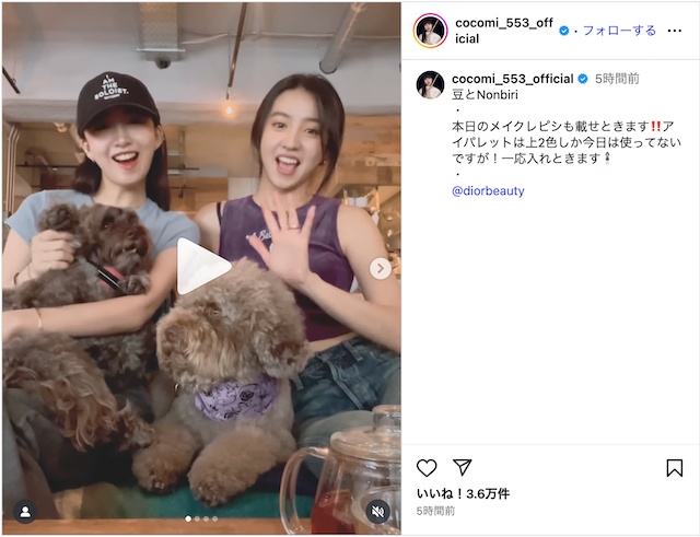 Cocomi&Kōki,、愛犬を連れて公園とカフェの画像