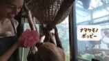 森泉、自宅の家庭菜園を披露の画像