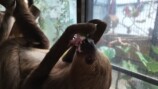 森泉、自宅の家庭菜園を披露の画像
