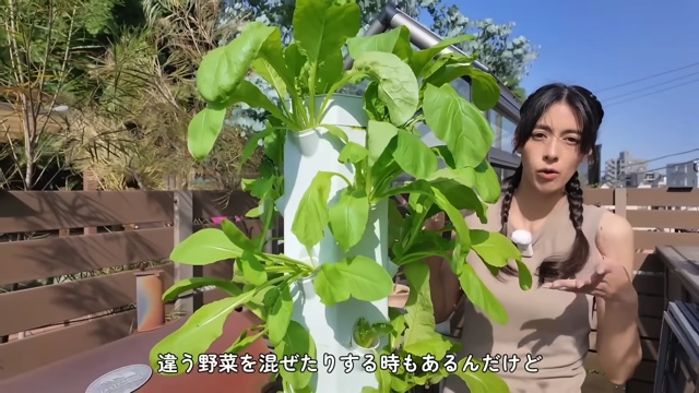 森泉、自宅の家庭菜園を披露の画像