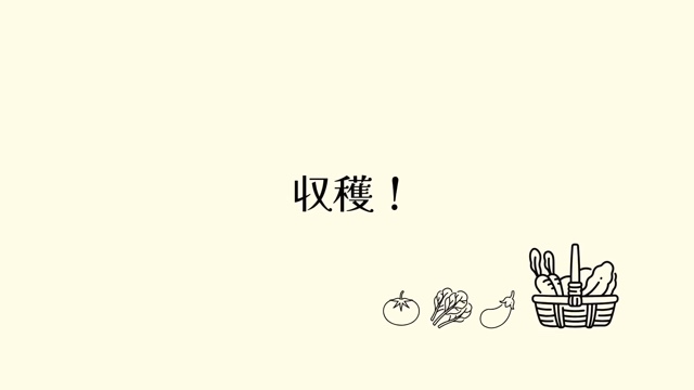 森泉、自宅の家庭菜園を披露の画像