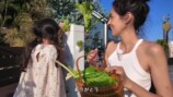 森泉、自宅の家庭菜園を披露の画像
