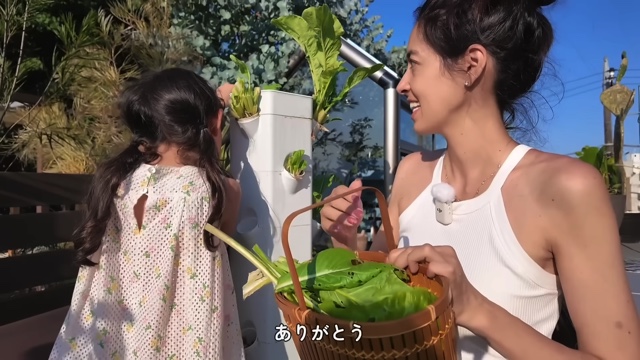 森泉、自宅の家庭菜園を披露の画像