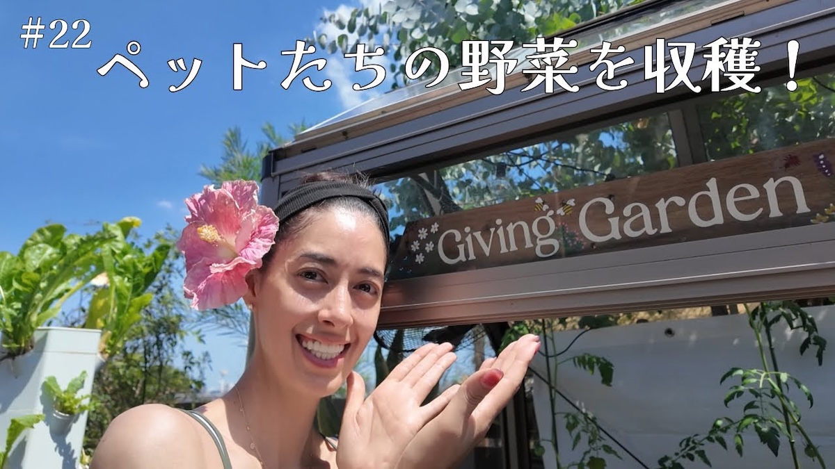 森泉、自宅の豪華な庭を披露　娘と一緒に野菜を収穫をする姿に憧れの声「素敵」