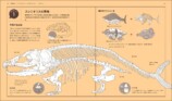 恐竜×寿司？　空想図鑑『擬恐竜図鑑』の画像
