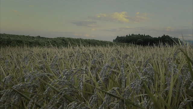 『べらぼう』蔦重の“遊び”は現代こそ響くの画像