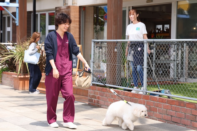 『初恋DOGs』第1話先行カットの画像