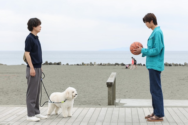 『初恋DOGs』第1話先行カットの画像