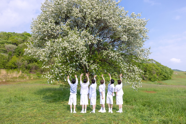 TWS「はじめまして」ビハインド写真