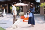 『初恋DOGs』に漂う“韓ドラ”的な質感の画像