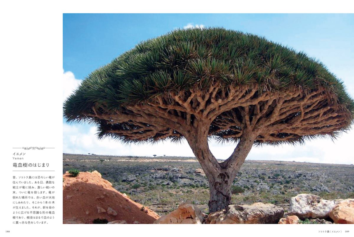 『おとぎ話とめぐる世界の風景』の画像