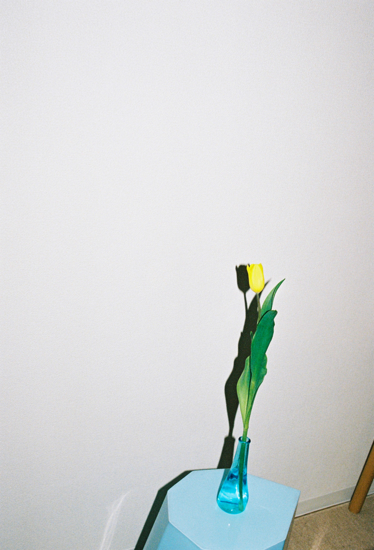 Aqua Timez・太志の詩写真集の画像